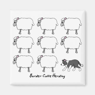 Bordure Collie Hébergement de mouton Magnet