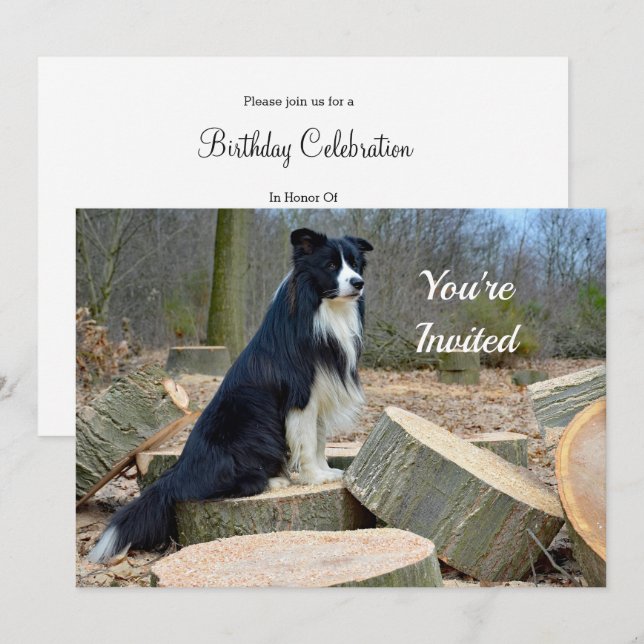 Bordure Collie Invitation Anniversaire (Devant / Derrière)