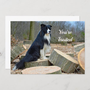 Bordure Collie Invitation Anniversaire
