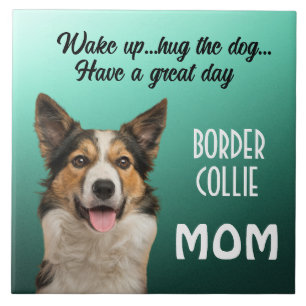 Bordure Collie Maman Carreaux céramique