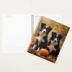 Bordure Collie Puppy Automne Citrouille de plaisir