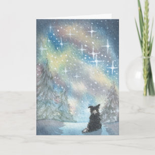 Bordure Collie Regarde Starry Sky, CARTE Vacances