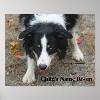 Bordure Collie Salle pour enfants Poster mur perso