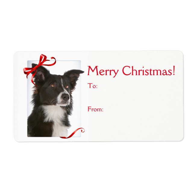 Bordure Collie Stickers Cadeaux de Noël (Devant)