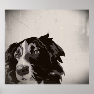 Bordure Collie urbain no 1 affiche d'art
