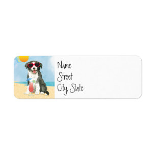 Bordure d'été Collie Étiquette