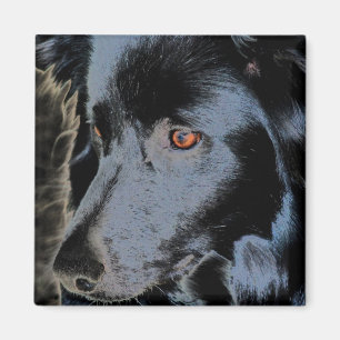 Bordure noire Collie Face Dog Magnet