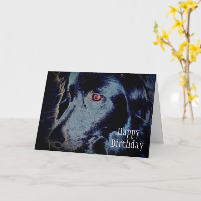 Bordure noire Collie Visage Animal Art Carte Anniv (Fleur jaune)