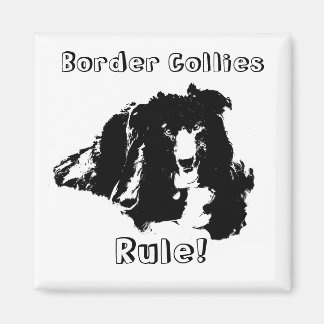 Bordures Collies Règle Drôle Aimant Chien