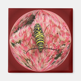 Borer de criquet 3 ~ aimant