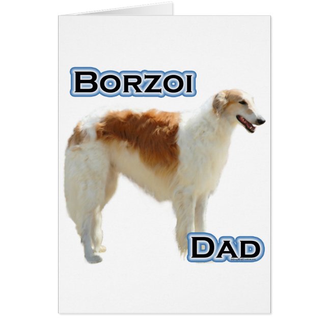 Borzoi Papa 4 (Devant)