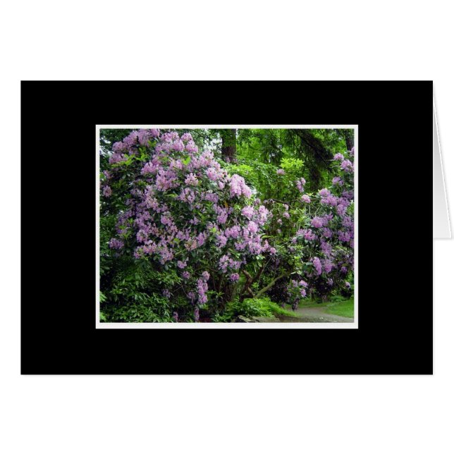Bosquet de rhododendrons (Devant horizontal)