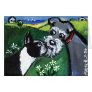 Boston rencontre le schnauzer