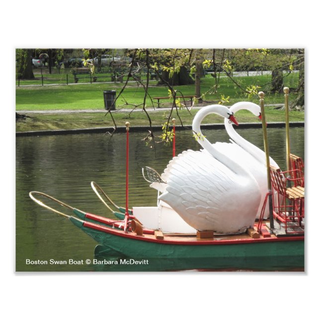 Boston Swan Boat Photo (Devant)
