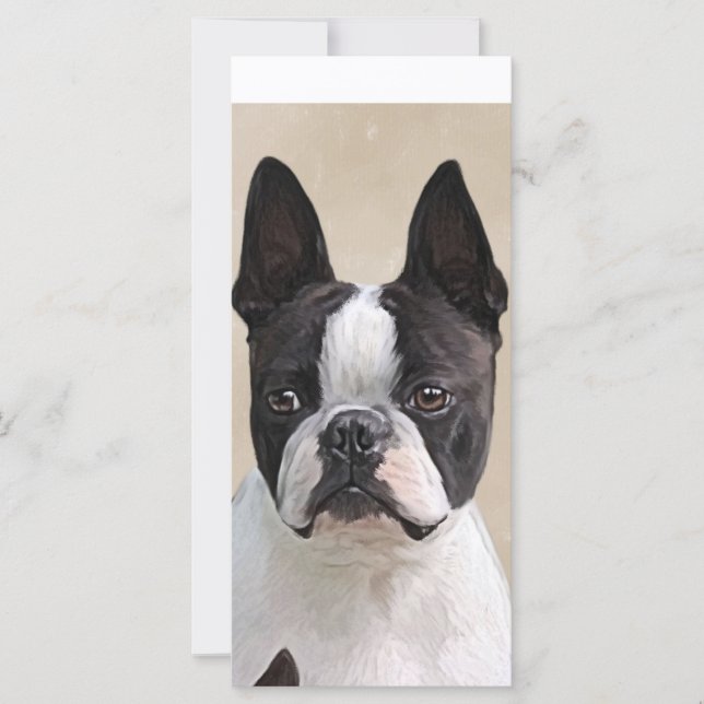 Boston Terrier (Devant)