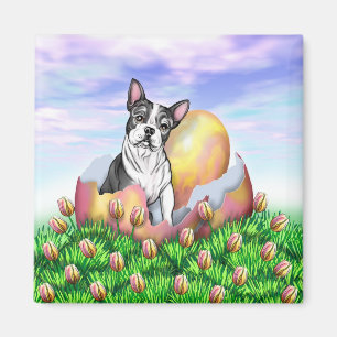Boston Terrier Aimant de surprise de Pâques