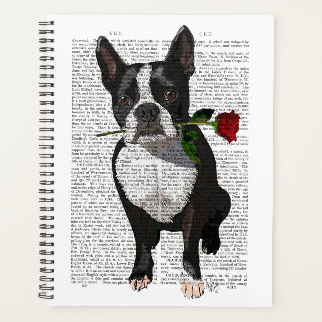 Boston Terrier avec Rose dans la bouche (Devant)