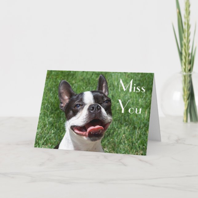 Boston Terrier Chien Chien Chien Mlle Votre Carte  (Devant)