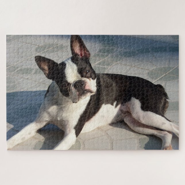 Boston Terrier Chien Jigsaw Puzzle noir et blanc (Horizontal)