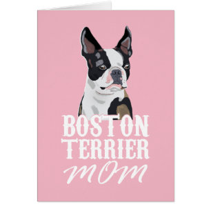 Boston Terrier Chien Maman