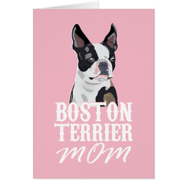 Boston Terrier Chien Maman (Devant)