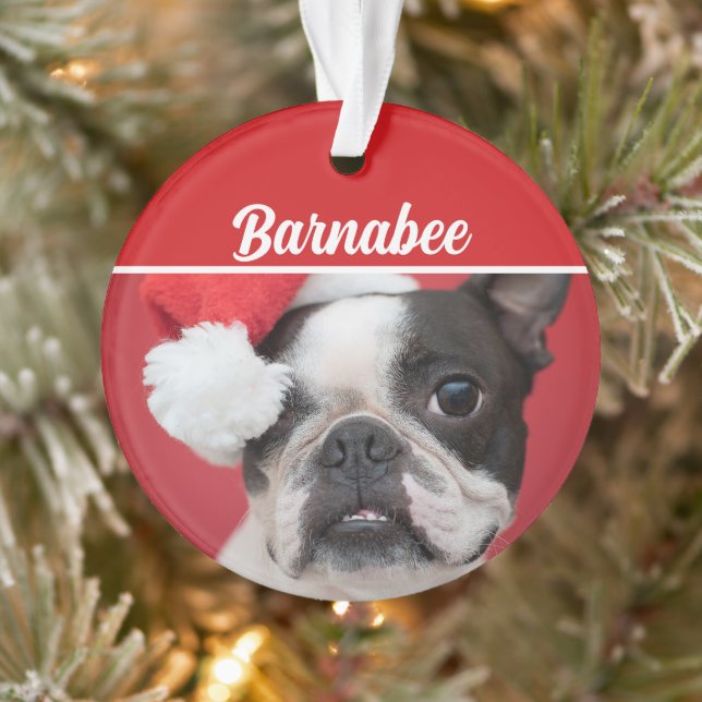 Boston Terrier Chien Nom Photo Fête Noël (Arbre)