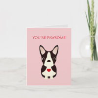 Boston Terrier, Chien Valentine, Saint Valentin