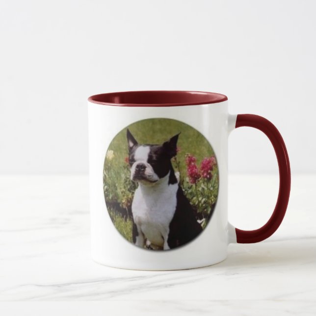 Boston Terrier dans la tasse de jardin (Droite)