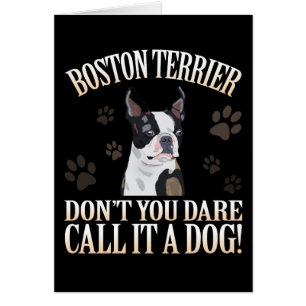 Boston Terrier Dog N'osez-vous pas l'appeler un ch