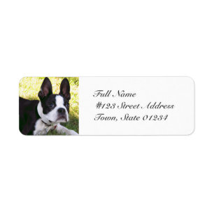 Boston Terrier Étiquettes de courrier