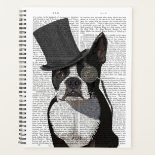 Boston Terrier, Formal Hound et Casquette