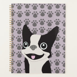 Boston Terrier, lilas pourpre