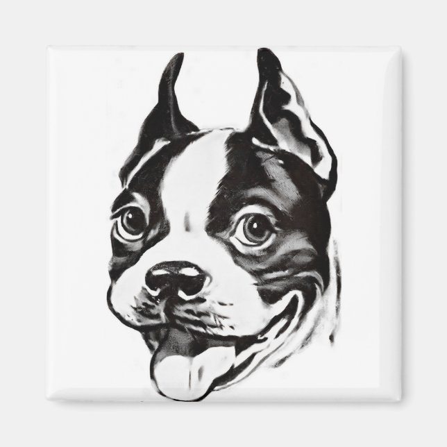 Boston Terrier Magnet (Devant)