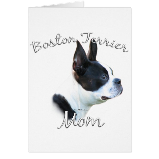 Boston Terrier Maman 2 (Devant)