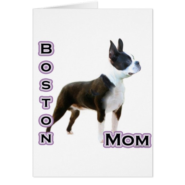 Boston Terrier Maman 4 (Devant)