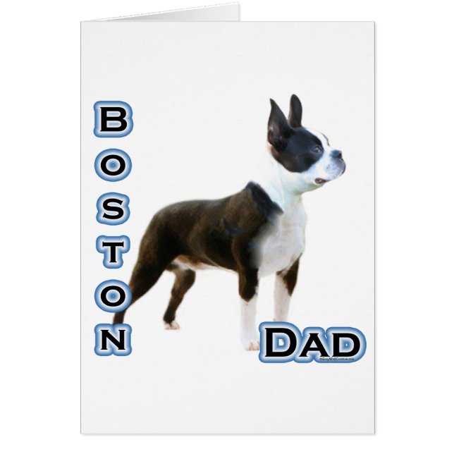 Boston Terrier Papa 4 (Devant)