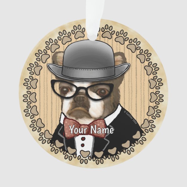 Boston Terrier porte des lunettes (devant)