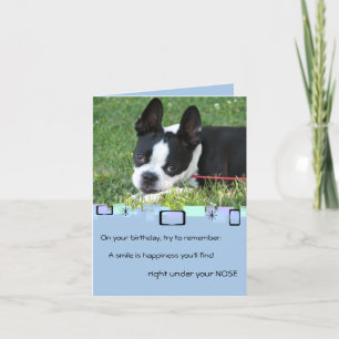 Boston Terrier Toutes les occasions Carte de voeux