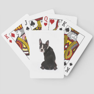 Boston Terrier vous regardant cartes de jeu
