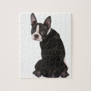 Boston Terrier vous regardant puzzle avec la