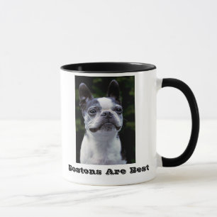 Bostons sont la meilleure tasse de Boston Terrier
