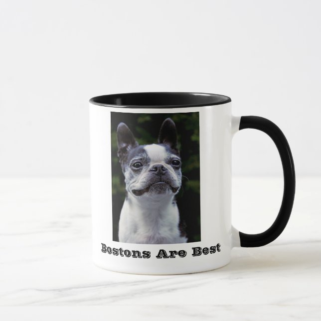 Bostons sont la meilleure tasse de Boston Terrier (Droite)