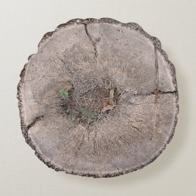 Botanique Coupe Palm Arbre écorce Photo Coussin ro (Devant)