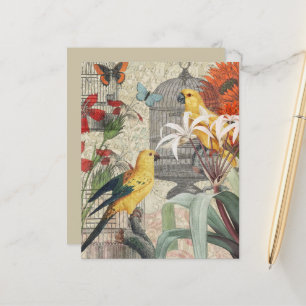Botanique Vintage Oiseaux Nature Tropical Antique