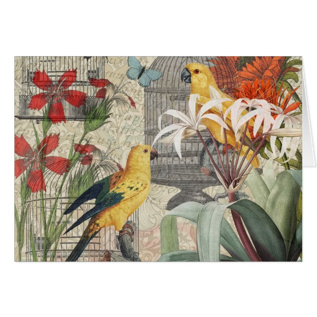 Botanique Vintage Oiseaux Nature Tropical Antique  (Devant horizontal)
