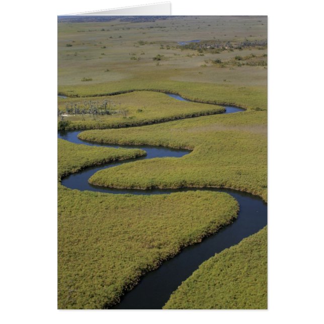 Botswana, Afrique. Vue aérienne de la rivière Okav (Devant)