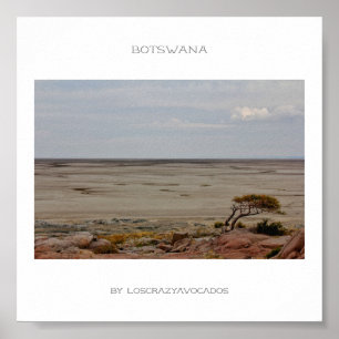 Botswana Kubu Baobab Island View Affiche de voyage