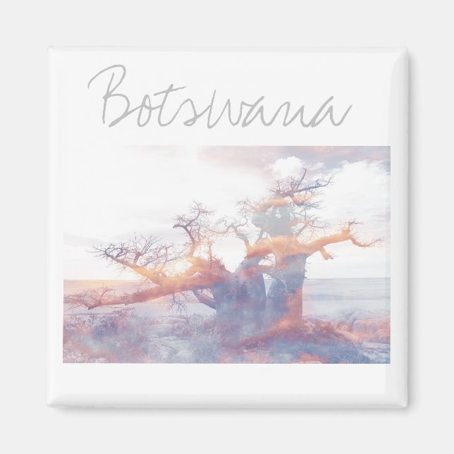 Botswana Kubu Island Baobab Tree Magnet (Devant)