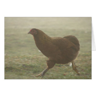 Bottes dans le brouillard