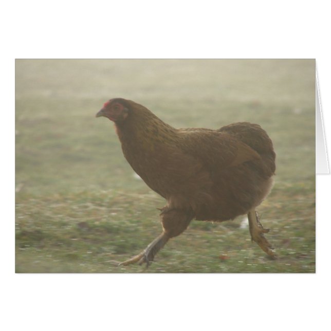 Bottes dans le brouillard (Devant horizontal)